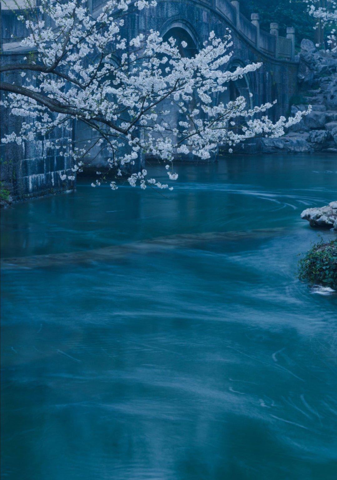 不要沮丧,如果春天要来,大地会使它一点一点地完成|大地|里尔克_新浪