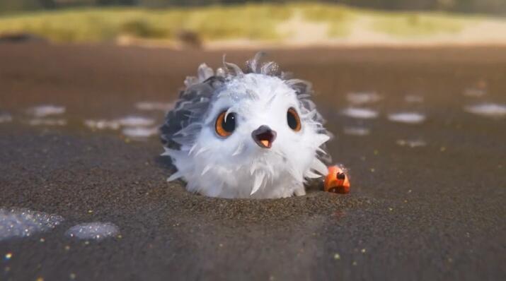 皮克斯超经典的动画短片《鹬 piper 》