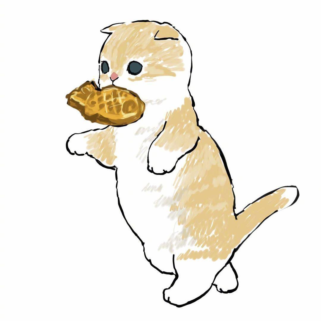 画师ぢゅの插画作品治愈的小猫insmofusand