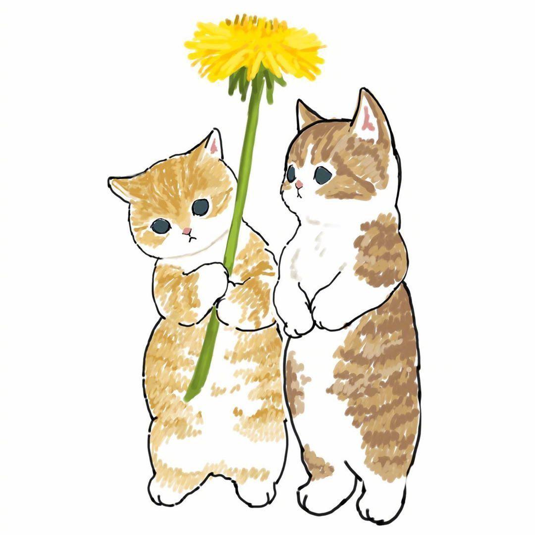 画师ぢゅの插画作品治愈的小猫insmofusand