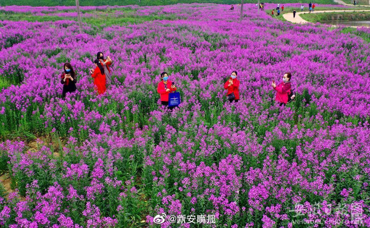 六安 独山镇抹茶特色小镇:打造茶谷乡村旅游 帮助茶农增收致富!