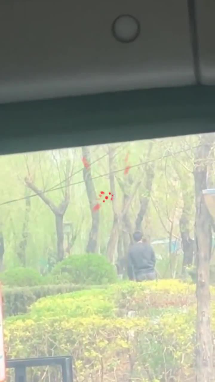 街头男人恶搞视频,街头男人恶搞视频在线观看