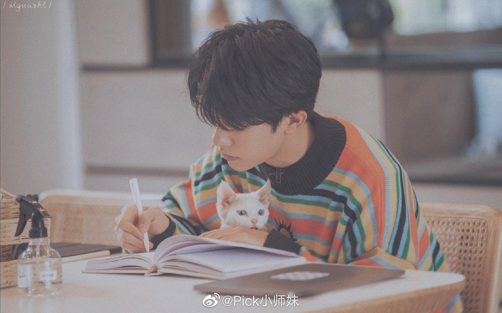 易烊千玺抱猫都只抱瘦的要被两只猫笑死