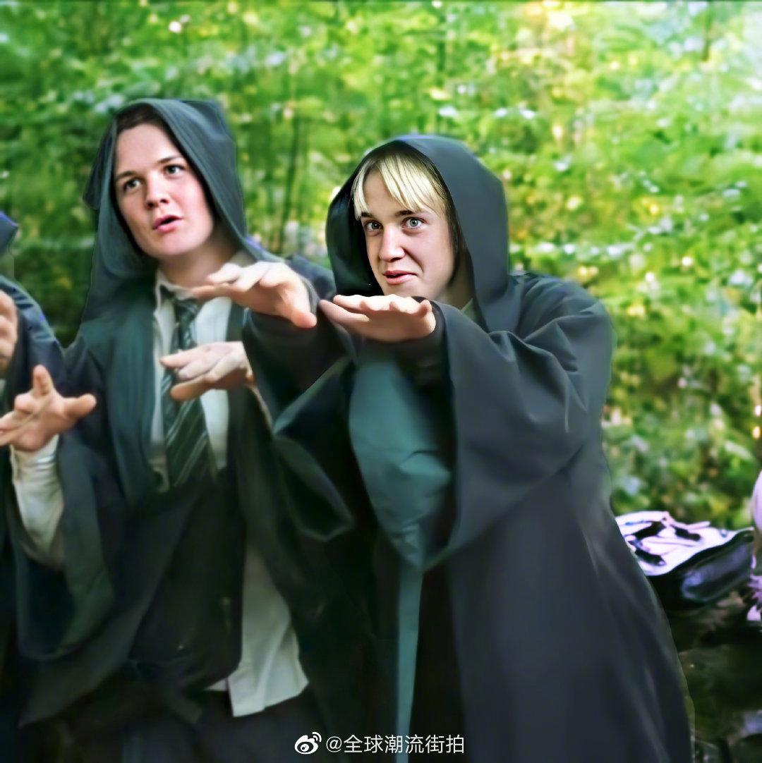 蛇院院草马尔福少爷