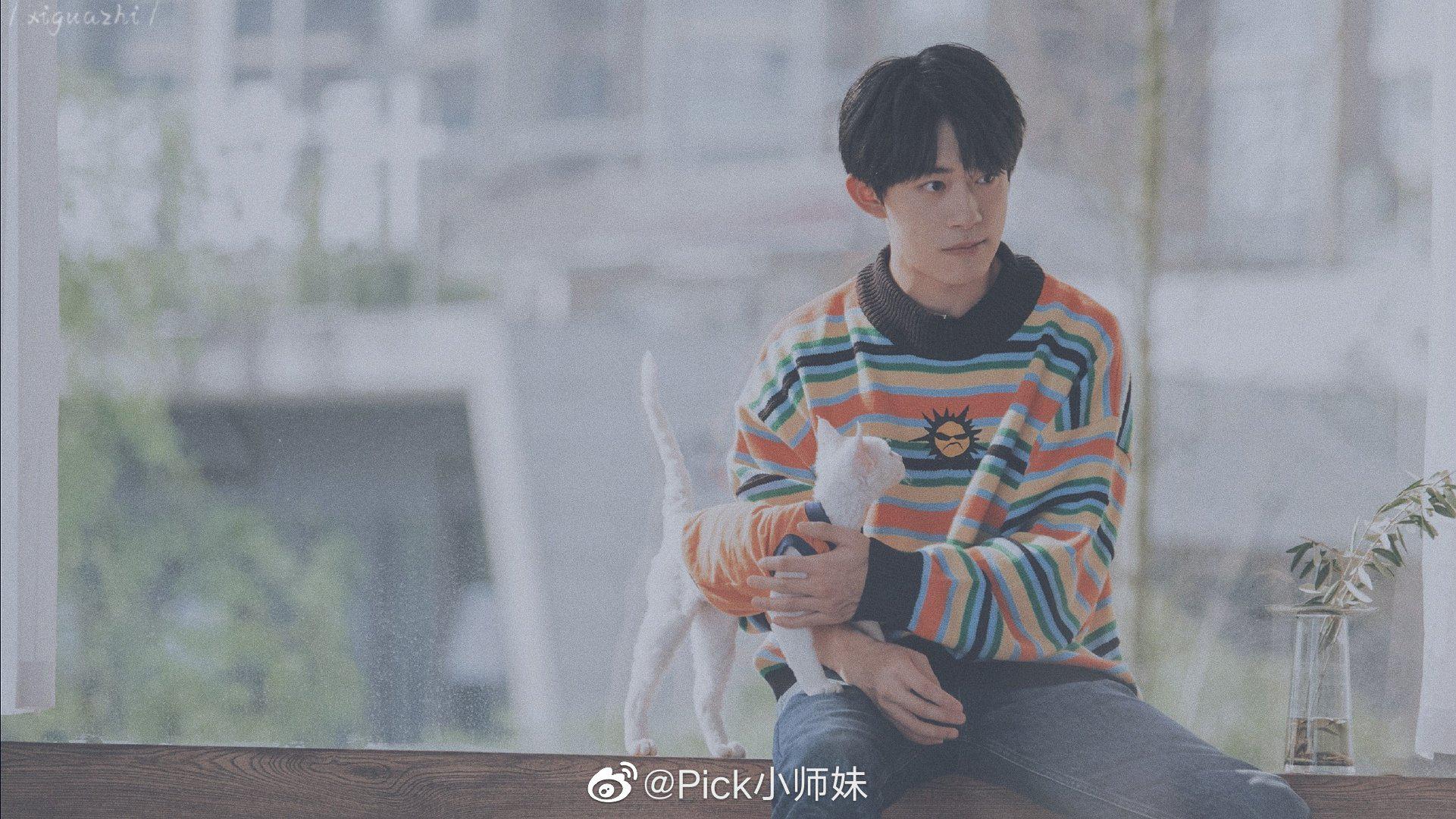 易烊千玺抱猫都只抱瘦的要被两只猫笑死