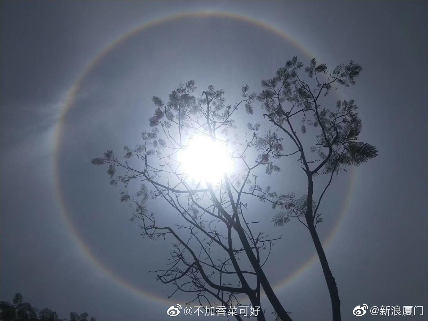 太阳自带光环!厦门 日晕奇观上演,你看到了吗?