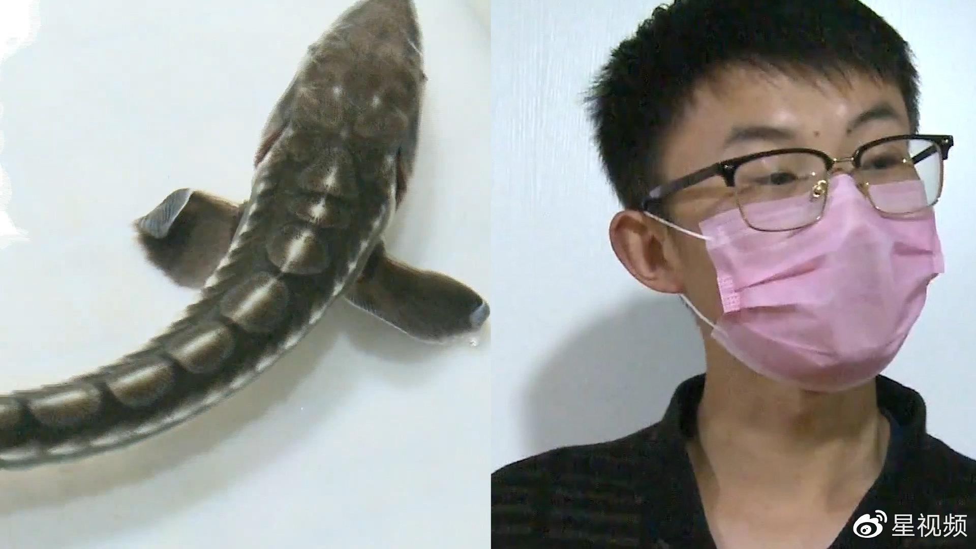 男子长江边救起 怪鱼 一查竟是国家一级保护动物 它和我有缘 男子长江边救起 怪鱼 一查竟是国家一级保护动物 它和我有缘