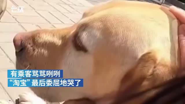 首先我觉得对于这种行为实在感到不耻!_新浪新闻