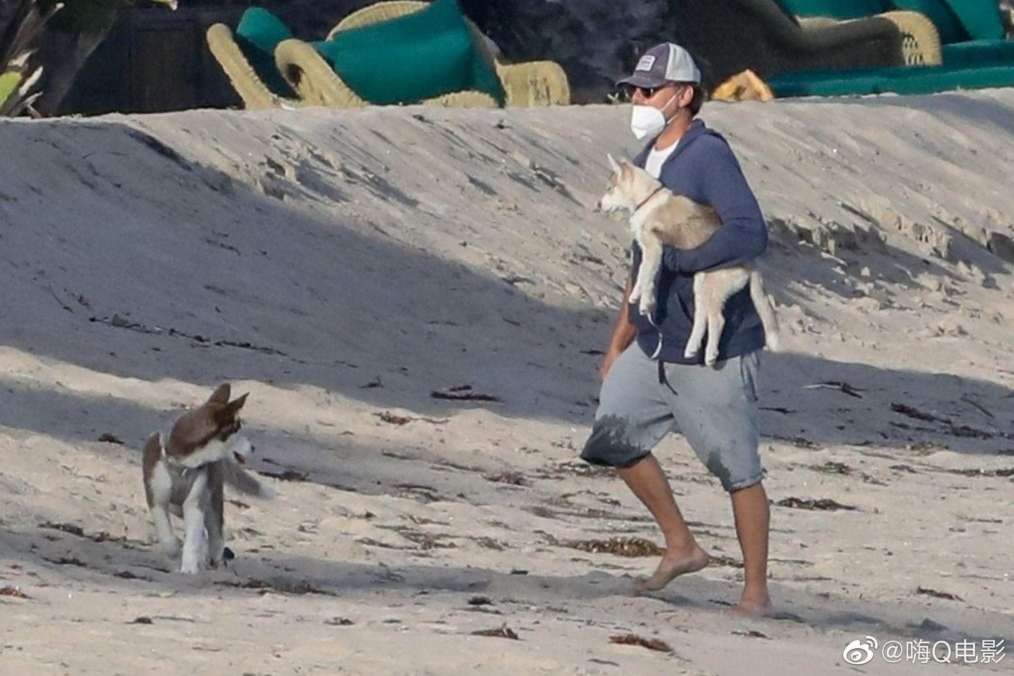 莱昂纳多迪卡普里奥4月26日抱着狗在沙滩散步