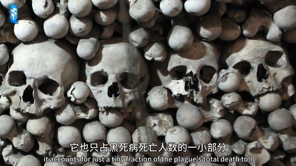 黑死病是如何终结的?