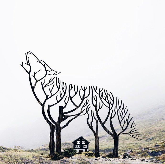 一组很有创意的图片 by:luisa azevedo - hey.luisa.