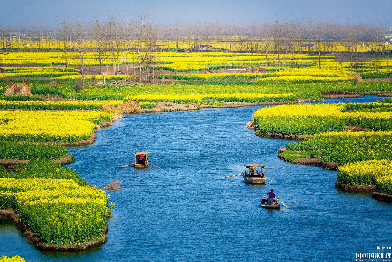 江苏里下河地区的兴化市,有一种独特的土地利用方式——垛田