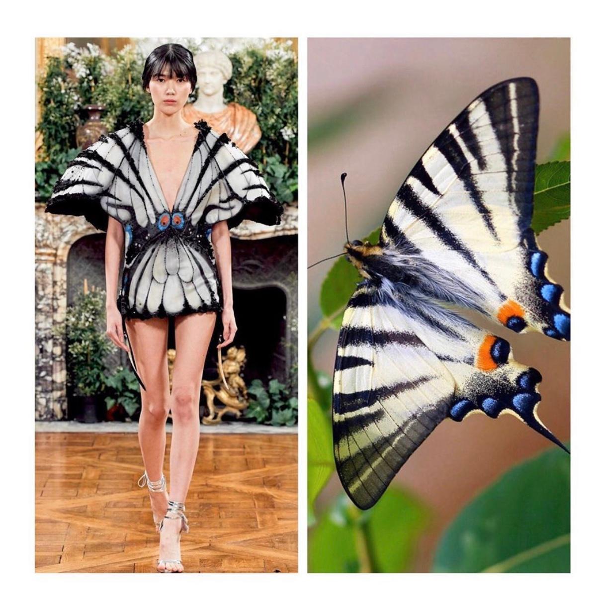 大自然总是能给服装设计以灵感