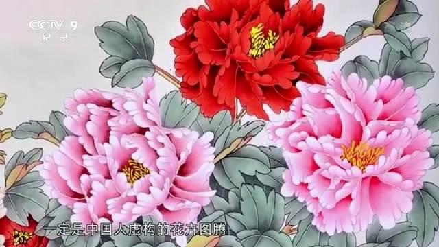 纪录片 花开中国 第5集牡丹