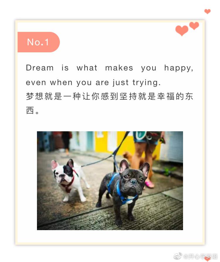 阳光下各种角度的脸