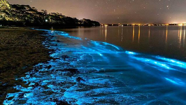 生物发光藻类出现在加利福尼亚的海洋和海滩中……_新浪新闻