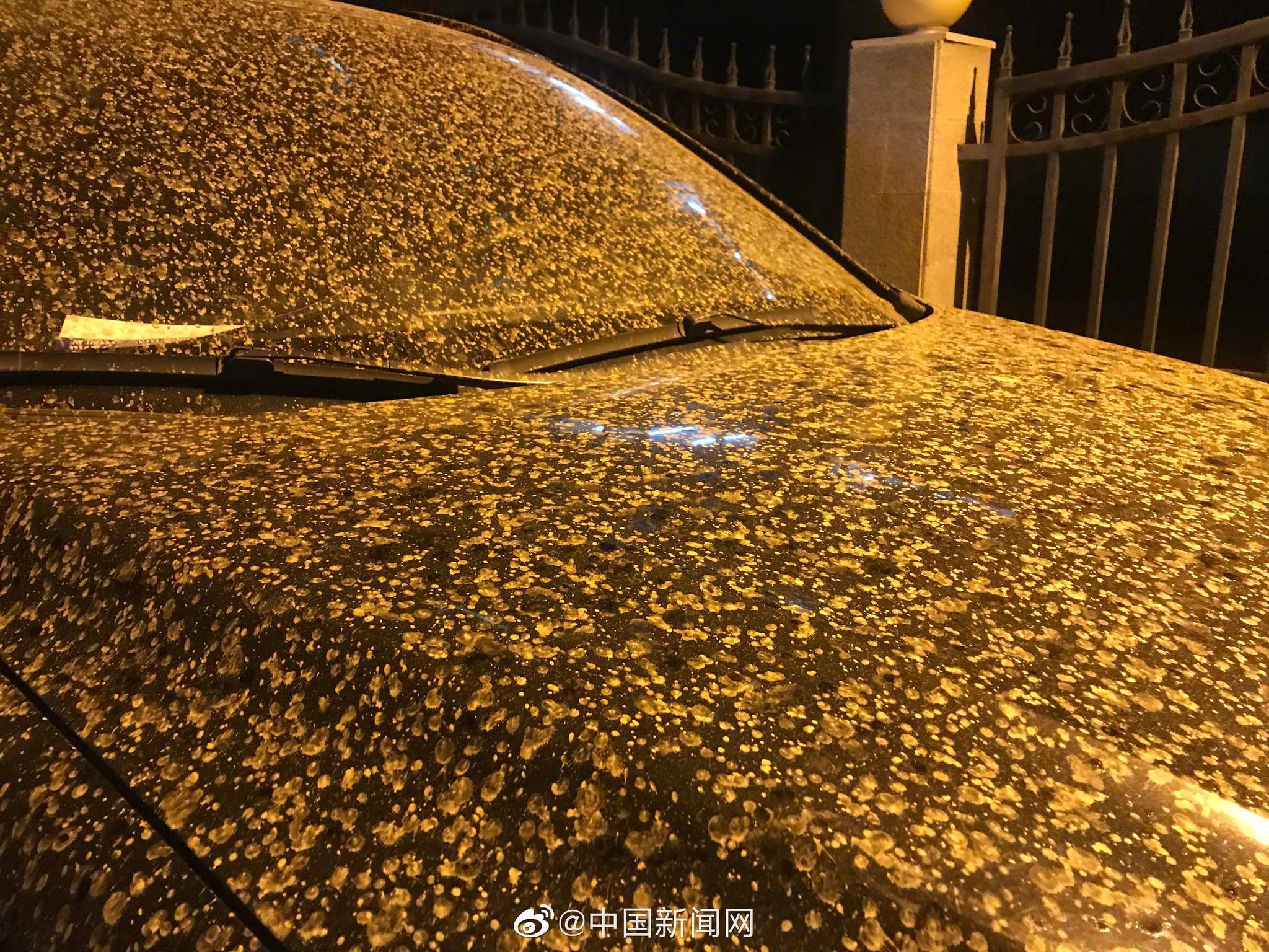 沙尘混合小雨北京下泥了