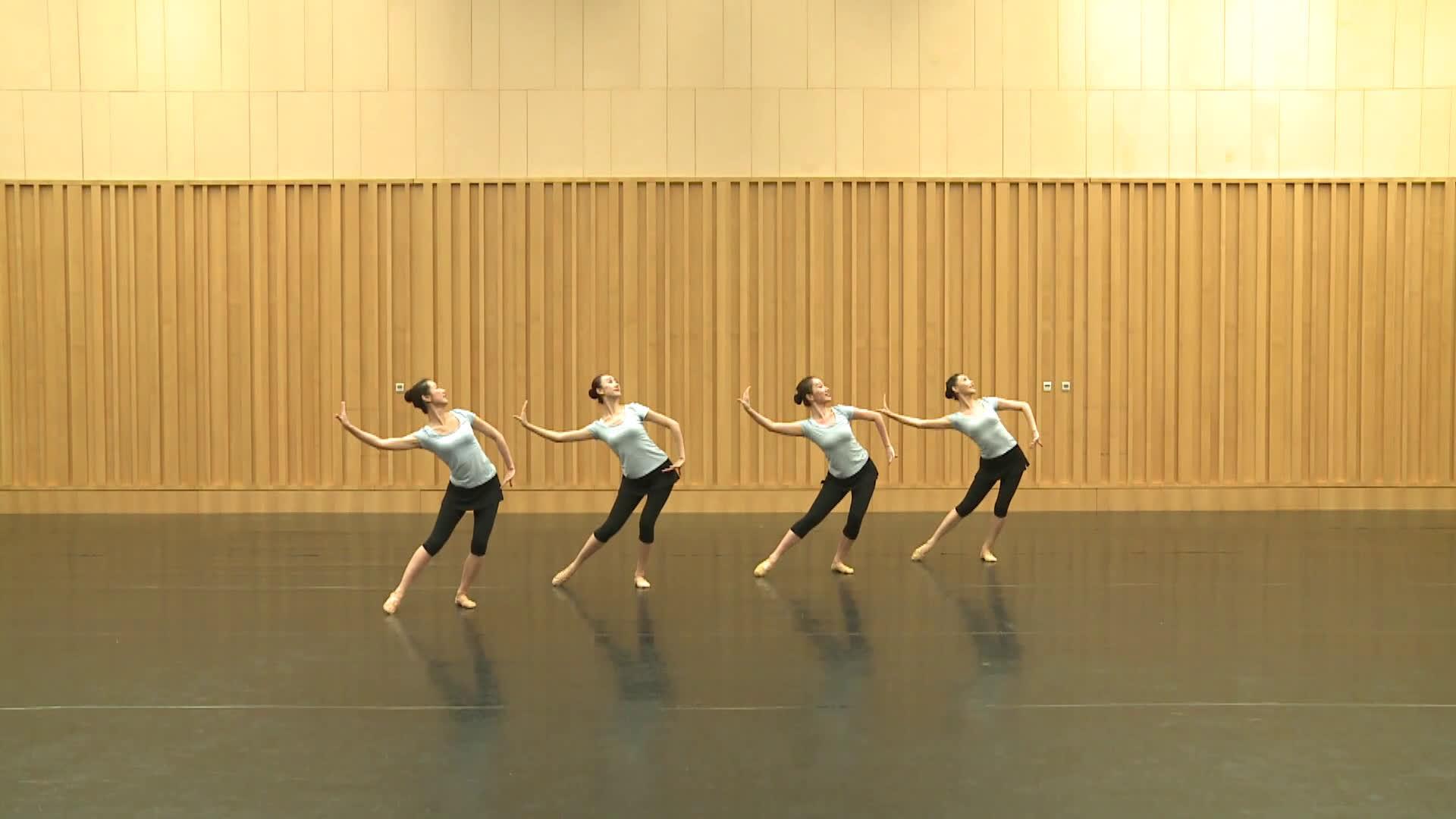 中国舞考级示范教学 第十级 傣族舞蹈 小卜少 示范:颜琴 王鑫 王