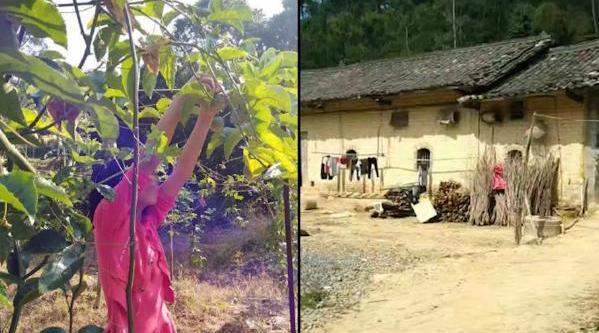 广西“百香果女孩”遭奸杀  母亲称两年未收到道歉