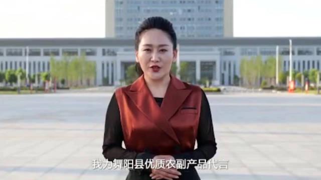 漯河舞阳县美女副县长师艳芳,为舞阳优质农副产品"代言"