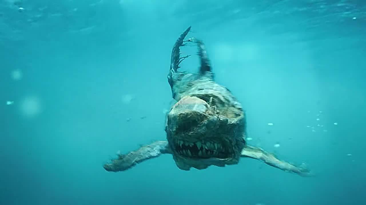 这鲨鱼是被啃过一次再丢回海里的吗