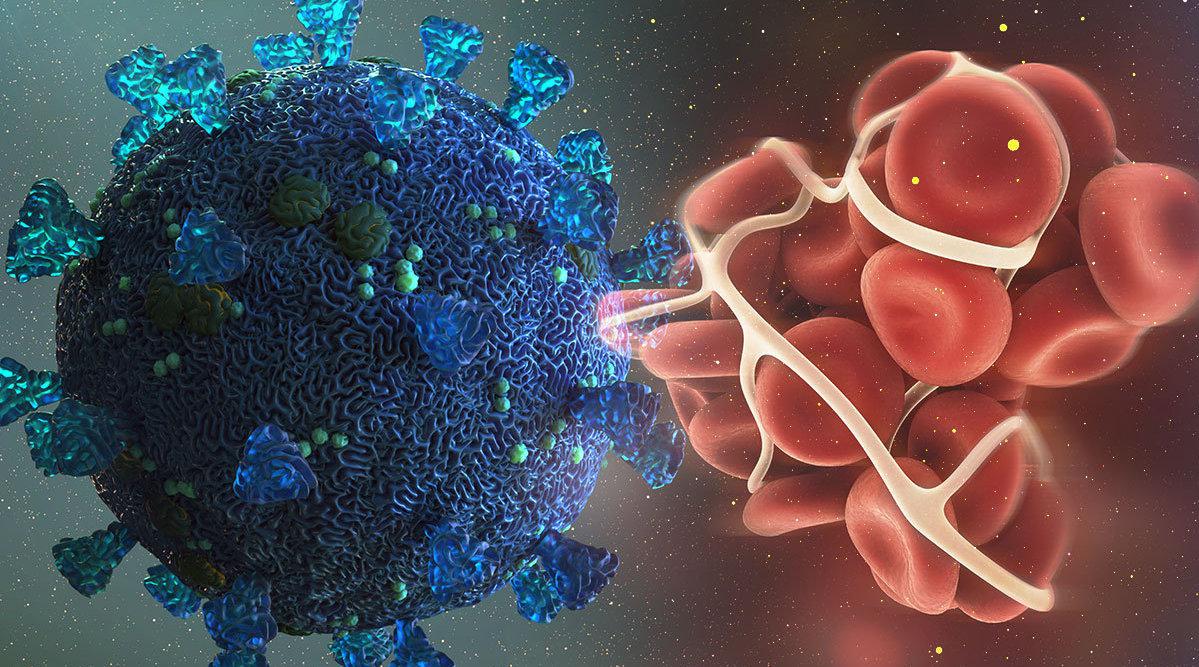 攻击人体全身 新冠病毒不仅只是呼吸道疾病