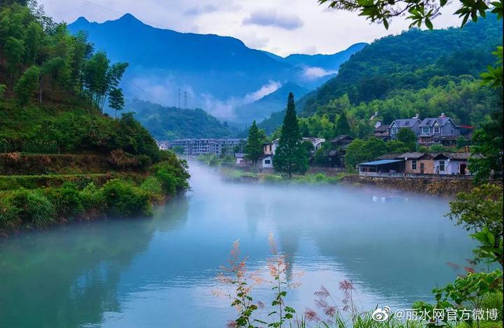 全市唯一 | 龙泉市荣获浙江省首批水生态环境示范试点|水生态_新浪新