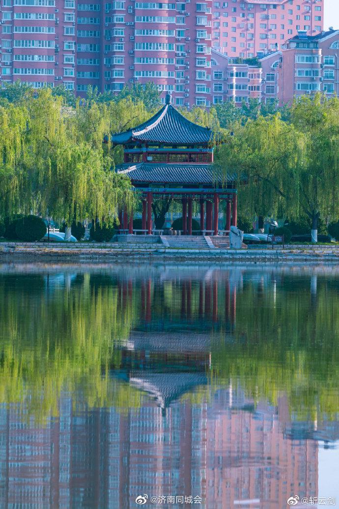 济南大明湖水岸蔷薇花开,亭台楼阁风清气正