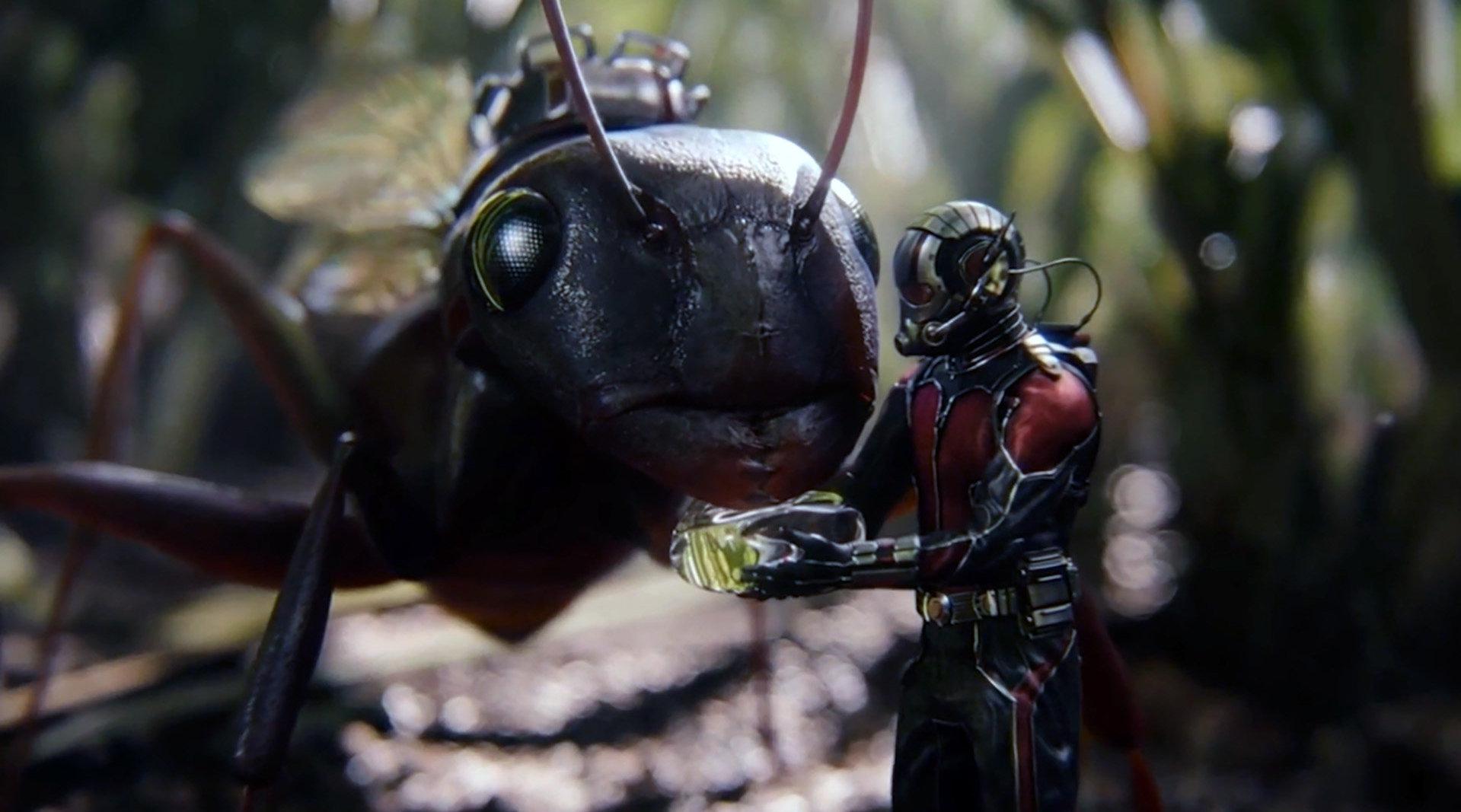 《蚁人》小偷获得战甲,穿上就变身蚁人,还指挥蚂蚁大军消灭坏人