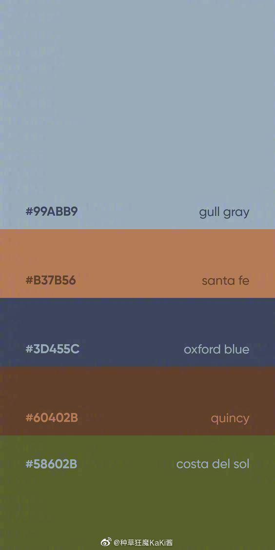 经典的高级灰配色方案