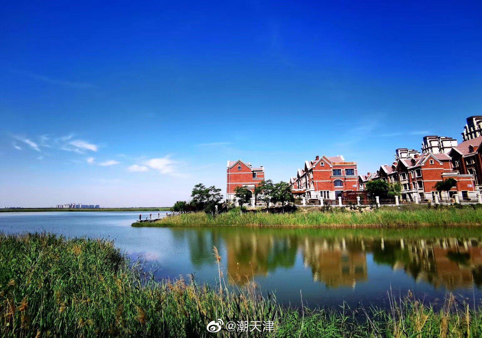 夏日团泊湖,赏心悦目,清凉宜人(by梁老师)