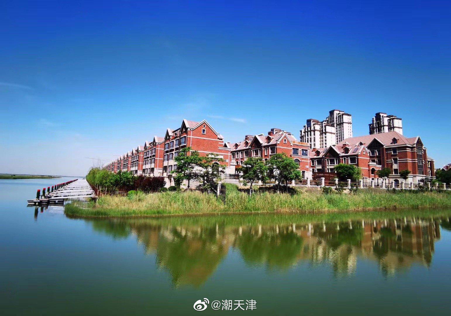 夏日团泊湖,赏心悦目,清凉宜人(by梁老师)|团泊湖|老师|天津生活_新浪