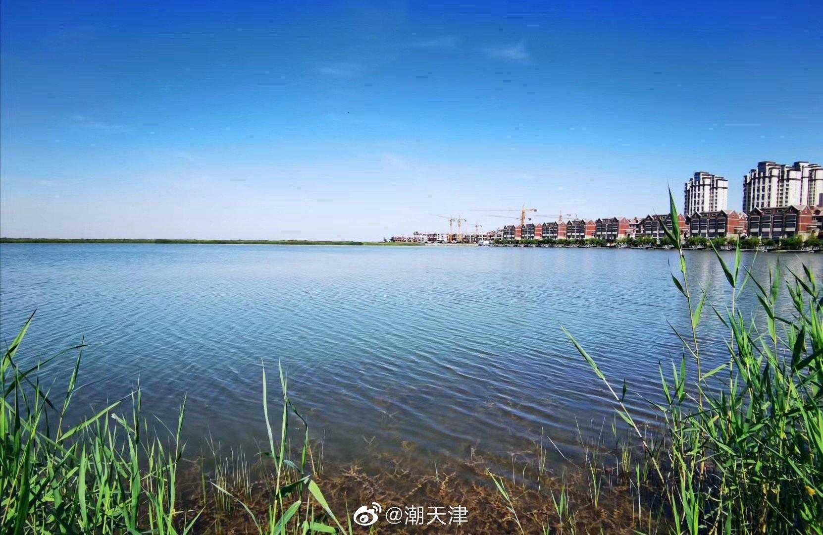 夏日团泊湖,赏心悦目,清凉宜人(by梁老师)