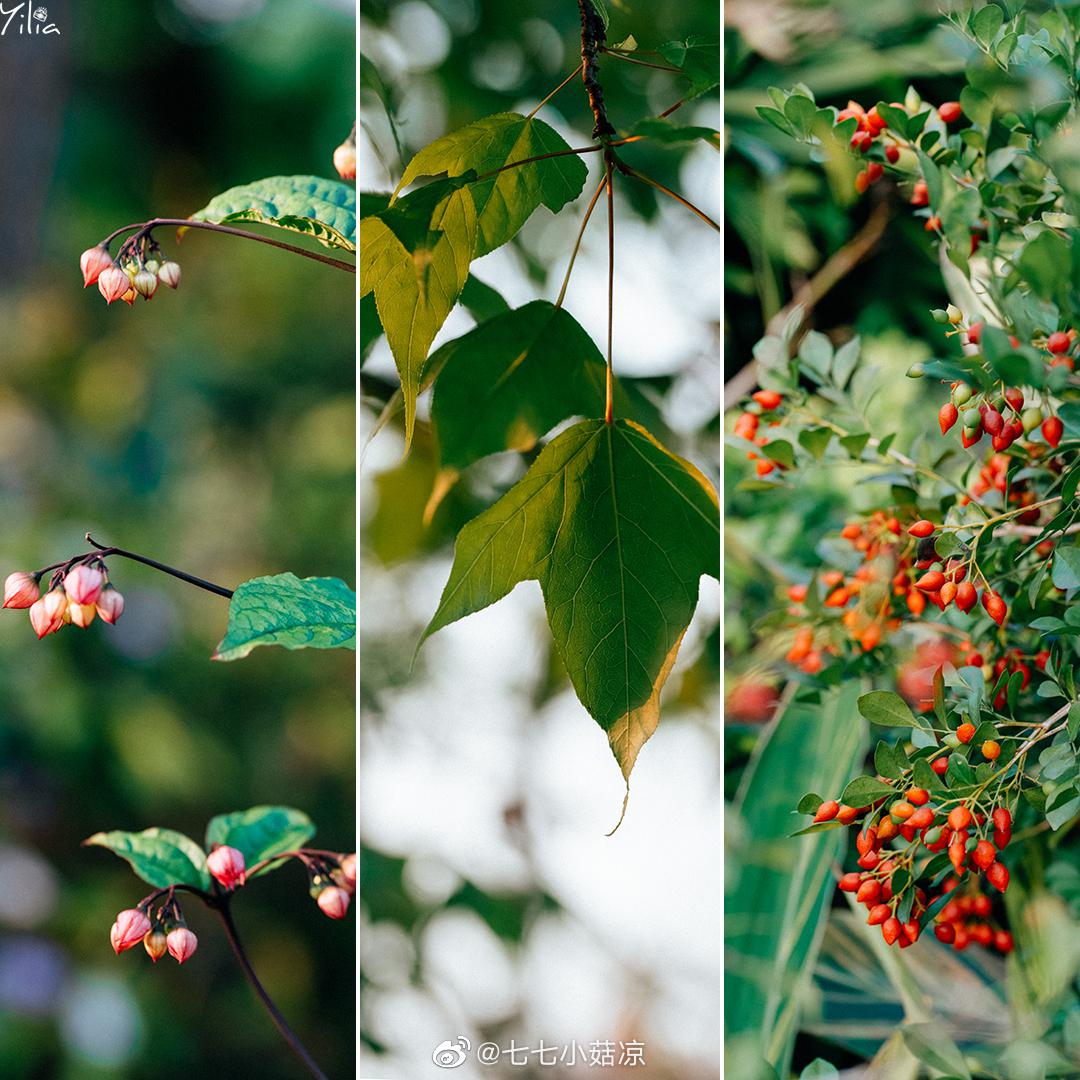 学员作品欣赏,来自盐糖罐子@盐糖罐子-yilia 的与你走过的路