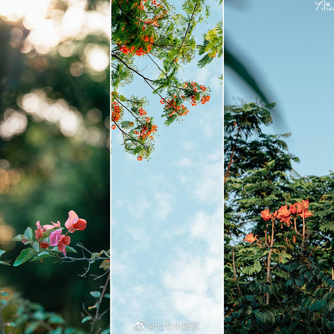 学员作品欣赏,来自盐糖罐子@盐糖罐子-yilia 的与你走过的路