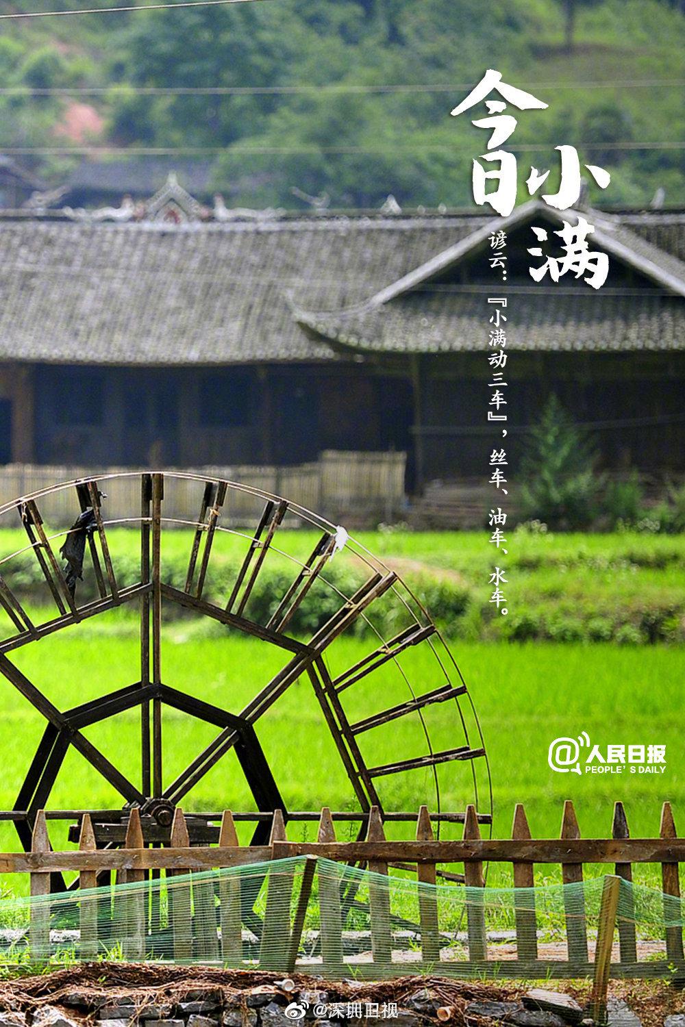 小满小满幸福满满