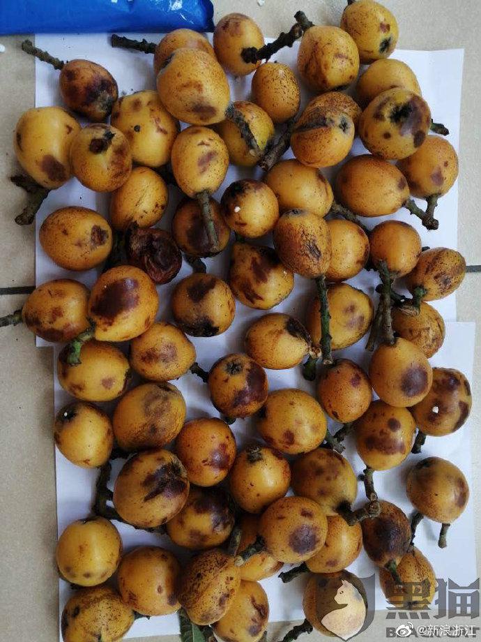 黑猫维权网友投诉京东物流花了50多元寄枇杷烂了一大半