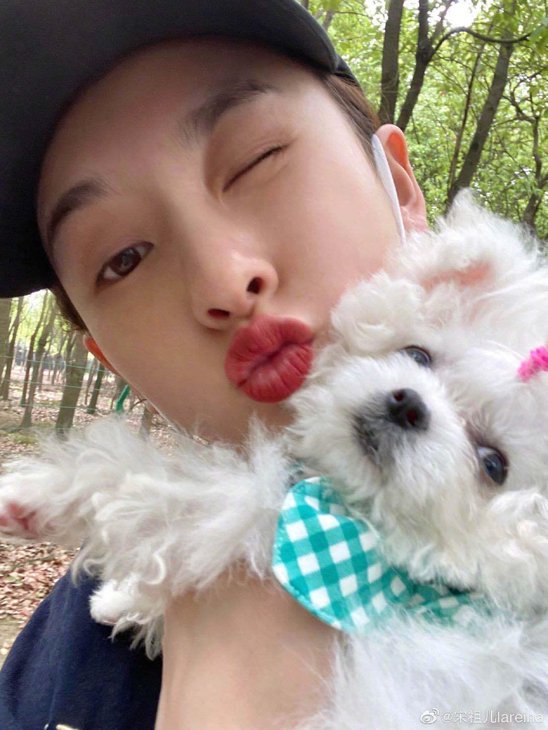 宋祖儿你这么做真的好吗,堂堂女明星居然跟狗子争宠比美