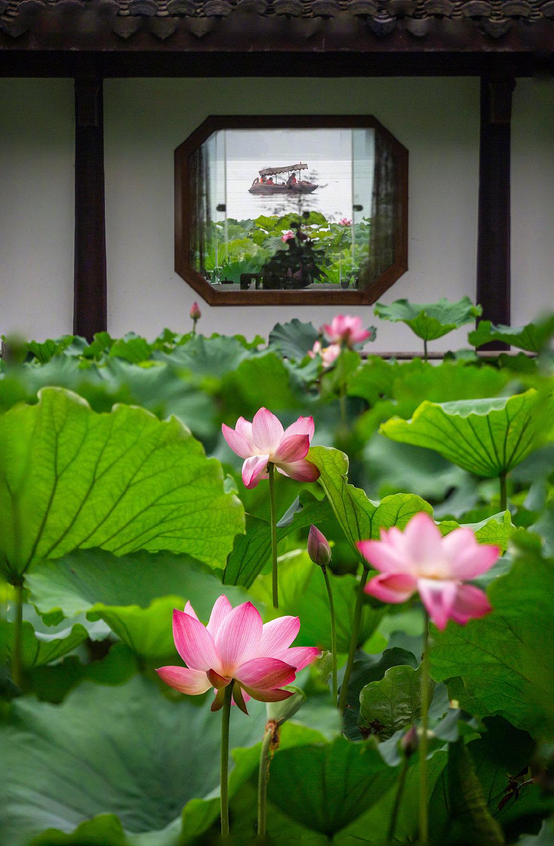 玉碗冰寒滴露华,粉融香雪透轻纱.晚来妆面胜荷花