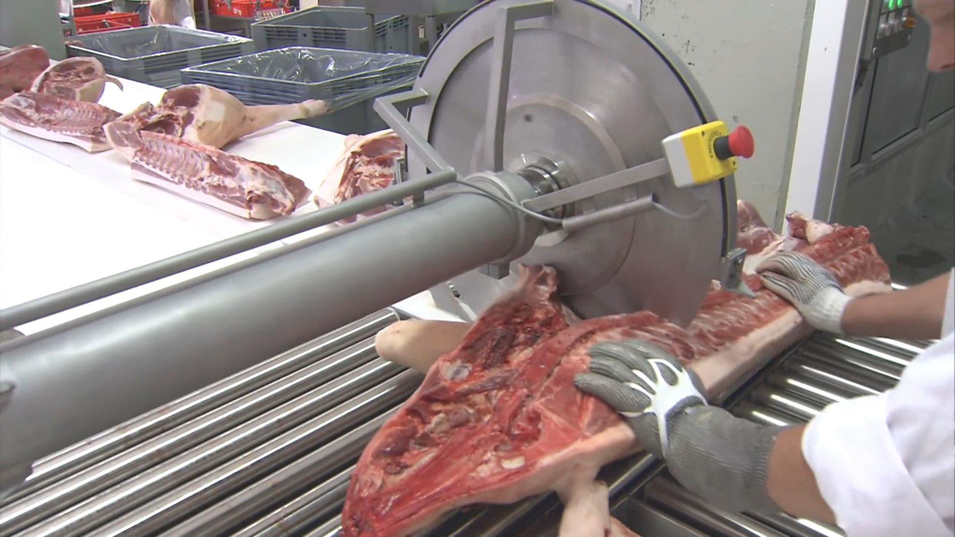 丹麦自动化猪肉屠宰加工厂整猪迅速分割切块供应全球