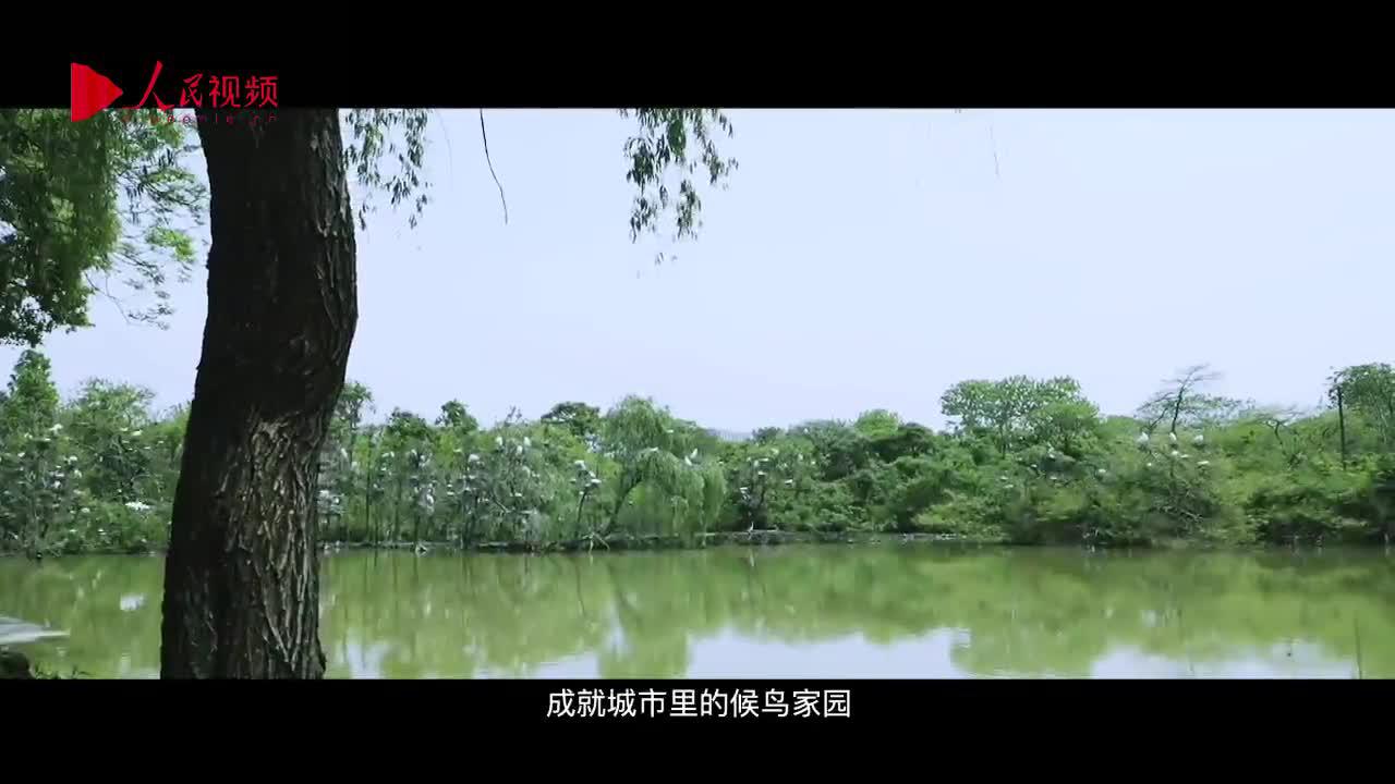 世界上最大的城市候鸟景区南昌天香园