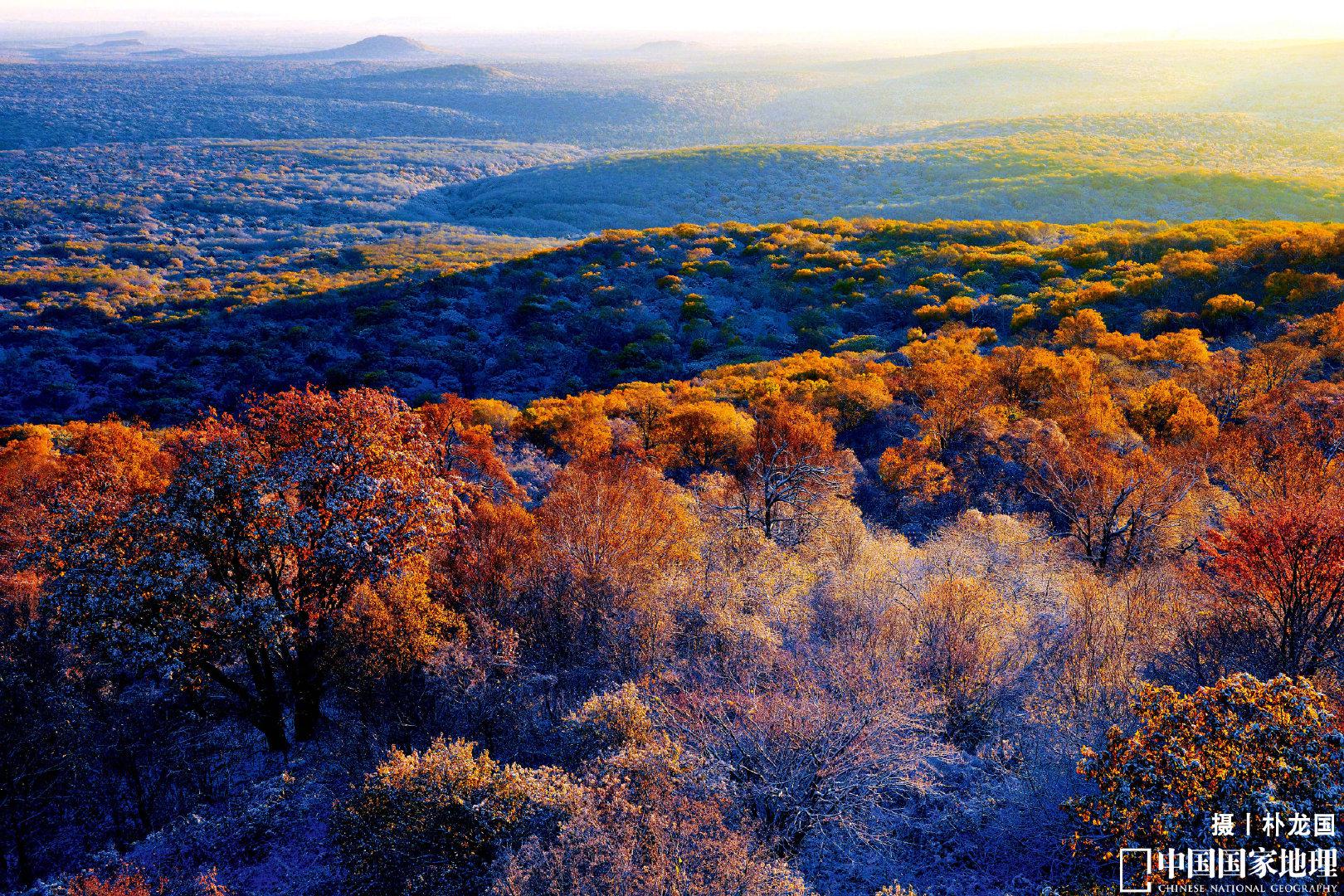 黏菌喜欢生活在温暖湿润,植被丰富的地方