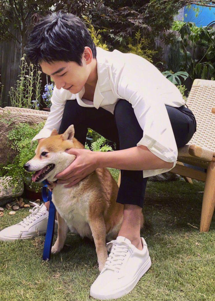 杨洋绿洲更新,分享自己的撸狗日常