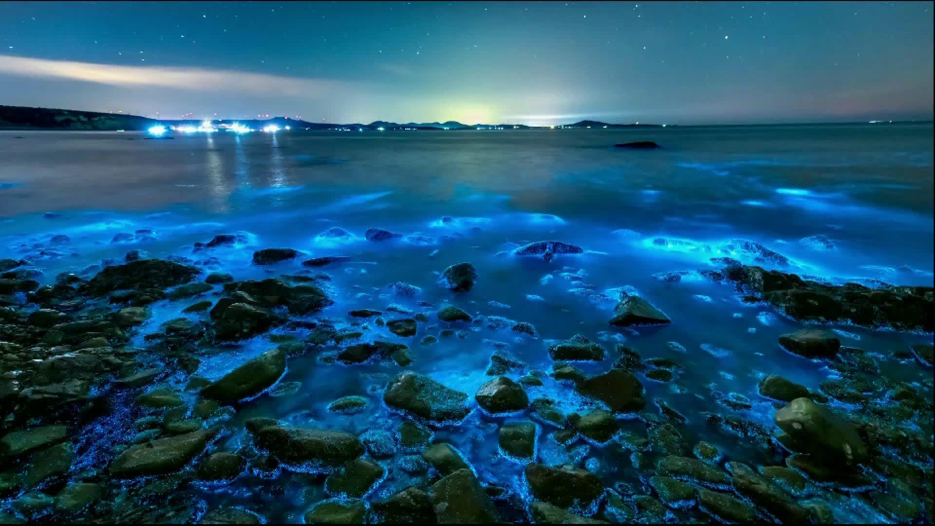 01:29 大连 再现荧光海 宛若"蓝色星河" 02:27 大连最炫工业风"走红"