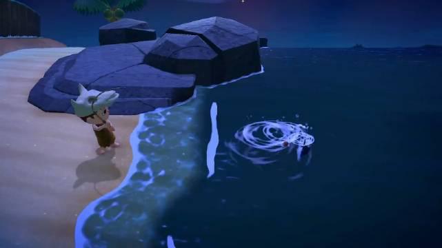 鲨鱼的鱼影和其他鱼不同 有鱼鳍