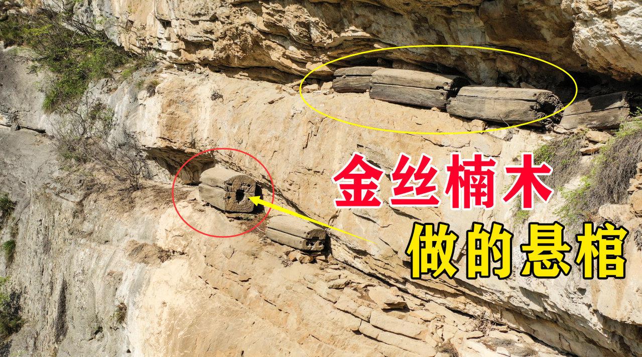 重庆深山悬崖上发现金丝楠木悬棺……_新浪新闻