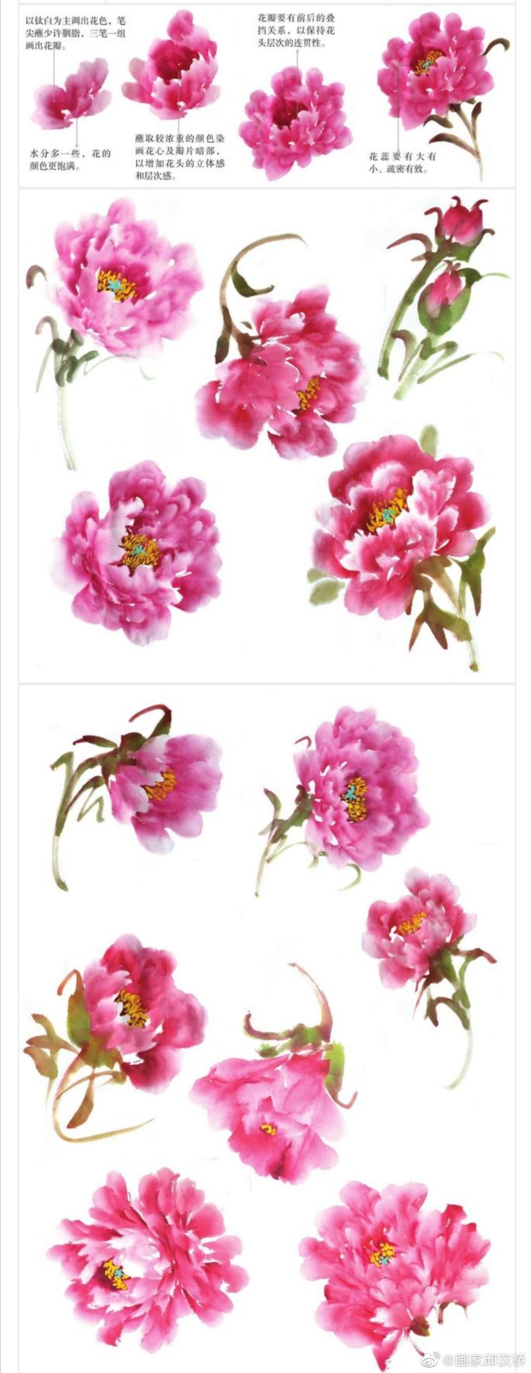 国画牡丹画法|国画|画法|牡丹_新浪新闻
