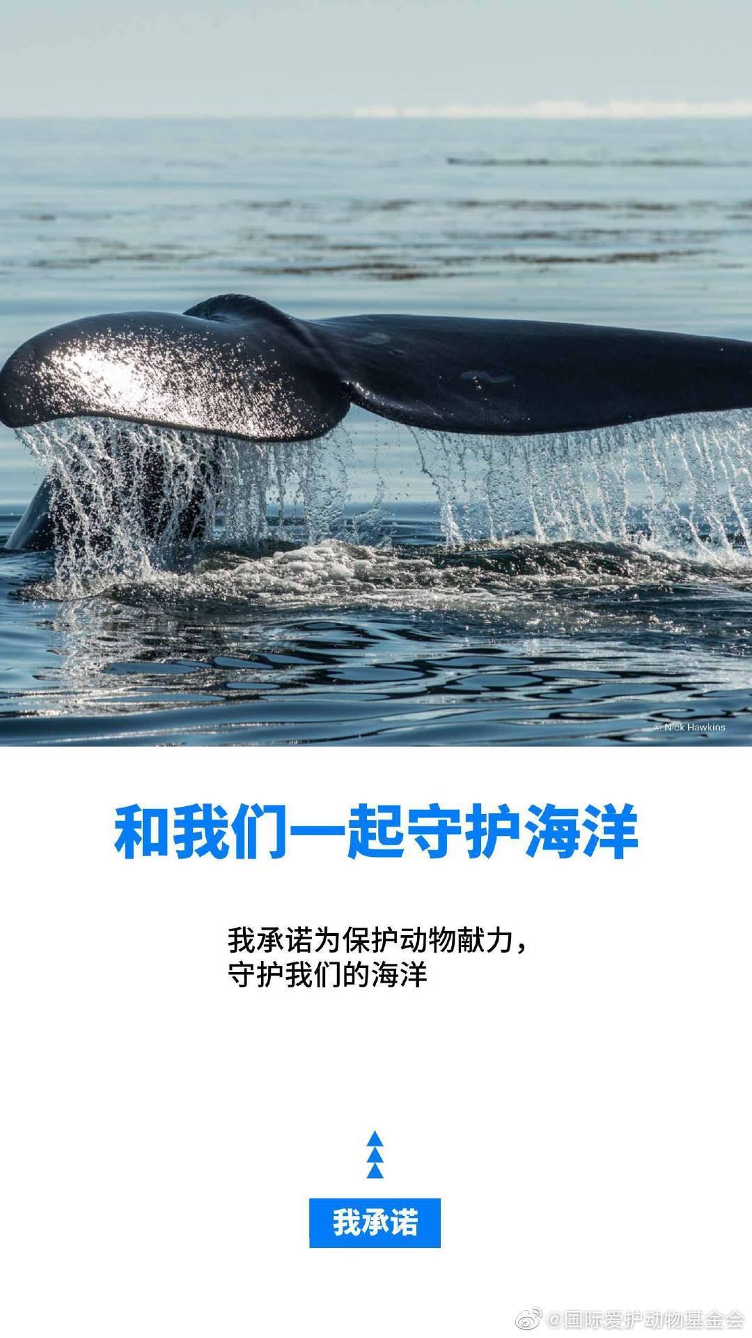 这些小事关系到我们每一个人,保护海洋从我做起