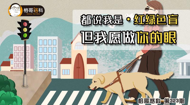 我们都知道狗狗是红绿色盲 但同时