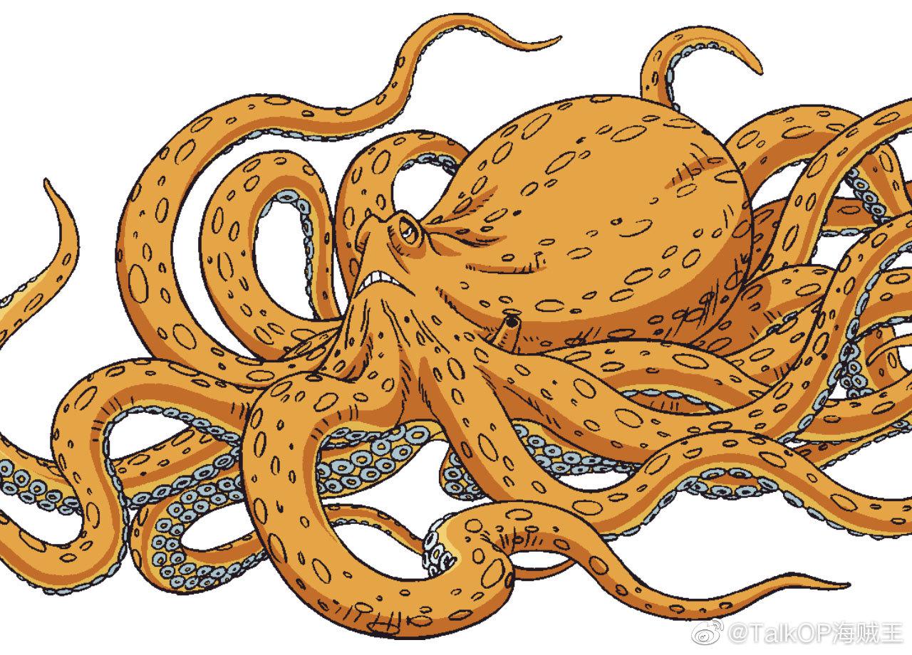 今天是鱼人岛篇的大海怪库拉肯后来被路飞收服为小鱿